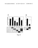 Multi Plasmid System For The Production Of Influenza Virus diagram and image