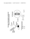 Multi Plasmid System For The Production Of Influenza Virus diagram and image