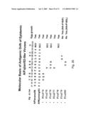 Multi Plasmid System For The Production Of Influenza Virus diagram and image