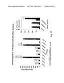 Multi Plasmid System For The Production Of Influenza Virus diagram and image