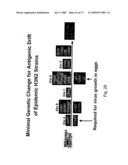 Multi Plasmid System For The Production Of Influenza Virus diagram and image