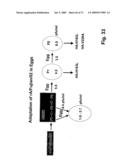 Multi Plasmid System For The Production Of Influenza Virus diagram and image