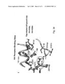 Multi Plasmid System For The Production Of Influenza Virus diagram and image
