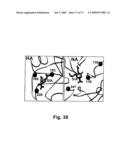 Multi Plasmid System For The Production Of Influenza Virus diagram and image