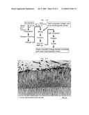 METHOD AND PULVERIZING APPARATUS FOR PREPARING PULVERIZED PRODUCT OF EXTRACTED TOOTH, DEMINERALIZED POWDER ORIGINATED FROM EXTRACTED TOOTH, AND COMPOSITE OF DEMINERALIZED POWDER AND APATITE, SUITABLE FOR USE IN HIGHLY ADVANCED MEDICAL TREATMENTS diagram and image