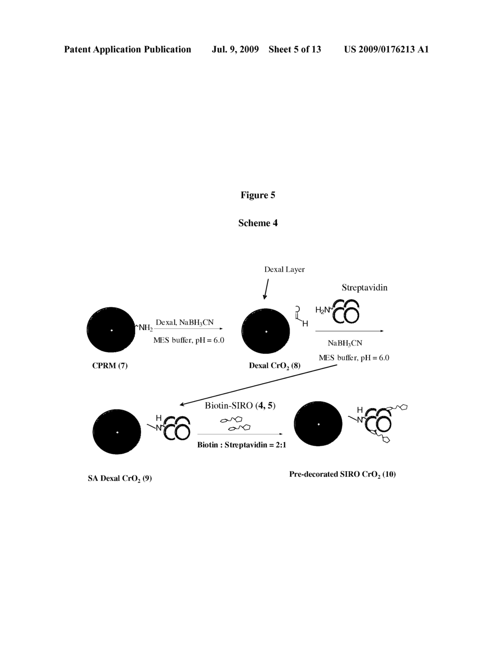 STABILIZATION OF SOLID SUPPORT ASSAY REAGENTS - diagram, schematic, and image 06