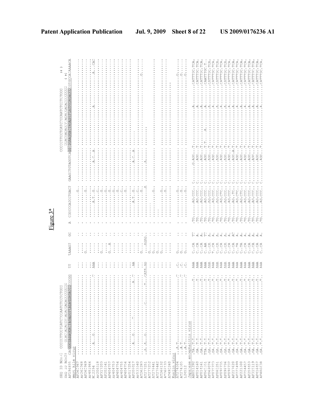 Compositions and Methods for Detecting Certain Flaviviruses, Including Members of the Japanese Encephalitis Virus Serogroup - diagram, schematic, and image 09