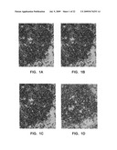 Antibody conjugates diagram and image