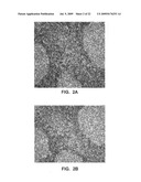 Antibody conjugates diagram and image