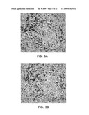 Antibody conjugates diagram and image