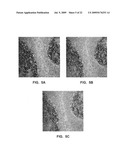 Antibody conjugates diagram and image