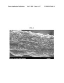 CATALYST SUPPORT USING CELLULOSE FIBERS, PREPARATION METHOD THEREOF, SUPPORTED CATALYST COMPRISING NANO-METAL CATALYST SUPPORTED ON CARBON NANOTUBES DIRECTLY GROWN ON SURFACE OF THE CATALYST SUPPORT, AND METHOD OF PREPARING THE SUPPORTED CATALYST diagram and image