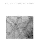 CATALYST SUPPORT USING CELLULOSE FIBERS, PREPARATION METHOD THEREOF, SUPPORTED CATALYST COMPRISING NANO-METAL CATALYST SUPPORTED ON CARBON NANOTUBES DIRECTLY GROWN ON SURFACE OF THE CATALYST SUPPORT, AND METHOD OF PREPARING THE SUPPORTED CATALYST diagram and image