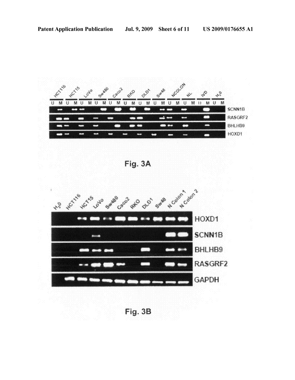 Methylation detection - diagram, schematic, and image 07