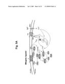 High density peptide arrays containing kinase or phosphatase substrates diagram and image