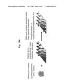 High density peptide arrays containing kinase or phosphatase substrates diagram and image