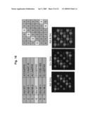 High density peptide arrays containing kinase or phosphatase substrates diagram and image