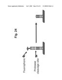 High density peptide arrays containing kinase or phosphatase substrates diagram and image