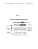 INHIBITORS OF AMYLOID PRECURSOR PROTEIN PROCESSING diagram and image