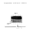 INHIBITORS OF AMYLOID PRECURSOR PROTEIN PROCESSING diagram and image