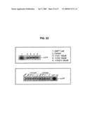 INHIBITORS OF AMYLOID PRECURSOR PROTEIN PROCESSING diagram and image