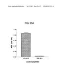 INHIBITORS OF AMYLOID PRECURSOR PROTEIN PROCESSING diagram and image