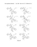 METHODS RELATING TO THE TREATMENT OF FIBROTIC DISORDERS diagram and image