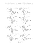 METHODS RELATING TO THE TREATMENT OF FIBROTIC DISORDERS diagram and image