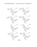 METHODS RELATING TO THE TREATMENT OF FIBROTIC DISORDERS diagram and image