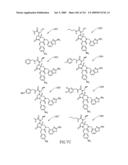 METHODS RELATING TO THE TREATMENT OF FIBROTIC DISORDERS diagram and image