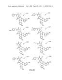 METHODS RELATING TO THE TREATMENT OF FIBROTIC DISORDERS diagram and image