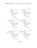 METHODS RELATING TO THE TREATMENT OF FIBROTIC DISORDERS diagram and image