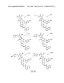 METHODS RELATING TO THE TREATMENT OF FIBROTIC DISORDERS diagram and image