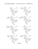 METHODS RELATING TO THE TREATMENT OF FIBROTIC DISORDERS diagram and image