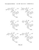 METHODS RELATING TO THE TREATMENT OF FIBROTIC DISORDERS diagram and image