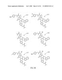 METHODS RELATING TO THE TREATMENT OF FIBROTIC DISORDERS diagram and image