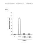 USE OF N-(DIBENZ(B,F)OXEPIN-10-YLMETHYL)-N-METHYL-N-PROP-2-YNYLAMINE OR A PHARMACEUTICALLY ACCEPTABLE ADDITION SALT THEREOF FOR THE PROPHYLAXIS AND/OR TREATMENT OF CONGENITAL MUSCULAR DYSTROPHY OR MYOPATHY RESULTING FROM COLLAGEN VI DEFICIENCY diagram and image