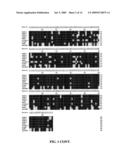 Fatty acid desaturases from primula diagram and image