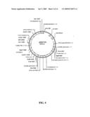 Fatty acid desaturases from primula diagram and image