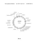 Fatty acid desaturases from primula diagram and image