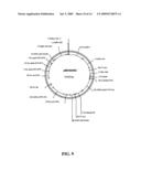 Fatty acid desaturases from primula diagram and image