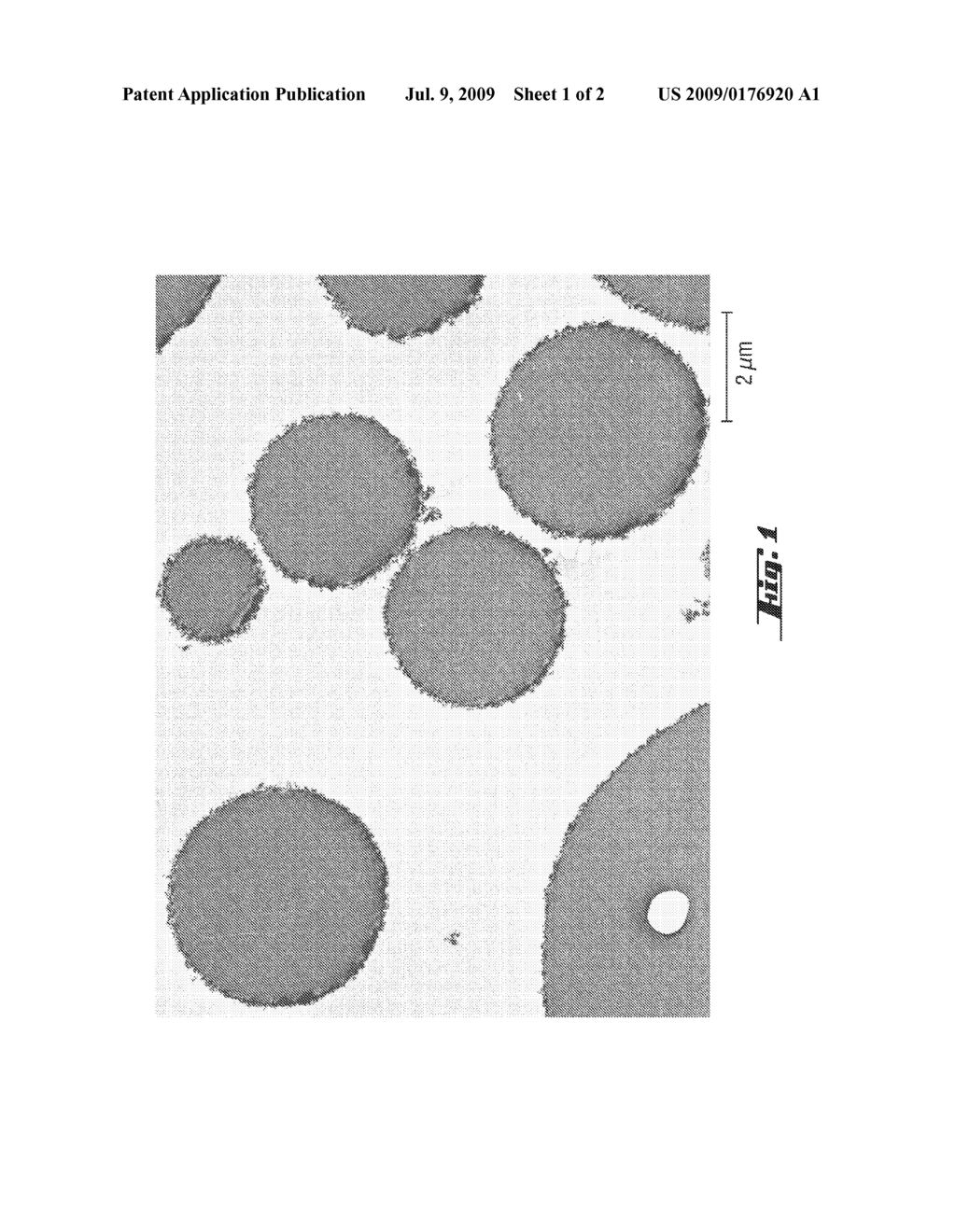 PARTICLES WITH STRUCTURED SURFACE - diagram, schematic, and image 02