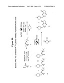 Isotopically Enriched N-Substituted Piperazine Acetic Acids And Methods For The Preparation Thereof diagram and image