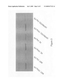 Methods for treating inflammatory skin disorders diagram and image