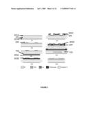 MICROMACHINED NEURAL PROBES diagram and image