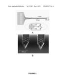 MICROMACHINED NEURAL PROBES diagram and image