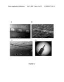 MICROMACHINED NEURAL PROBES diagram and image