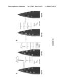 MICROMACHINED NEURAL PROBES diagram and image