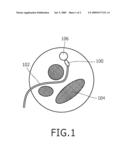 SURGICAL NEEDLE AND METHOD OF GUIDING A SURGICAL NEEDLE diagram and image