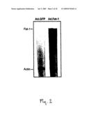 Compositions and methods for modifying the content of polyunsaturated fatty acids in mammalian cells diagram and image